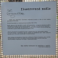 481160519